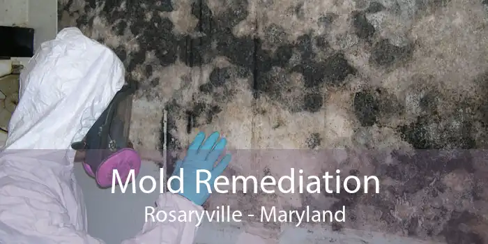 Mold Remediation Rosaryville - Maryland