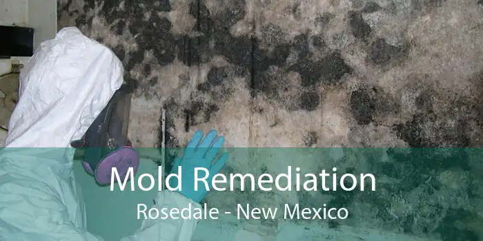 Mold Remediation Rosedale - New Mexico