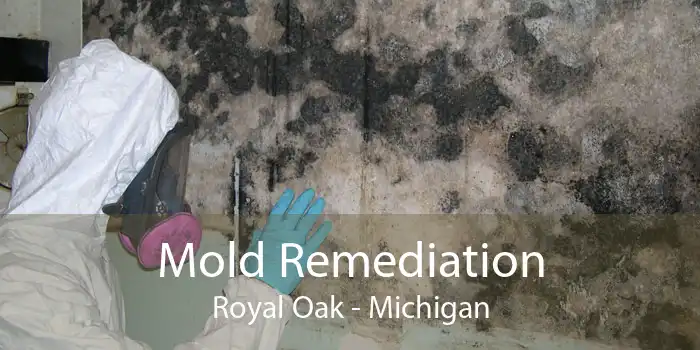 Mold Remediation Royal Oak - Michigan
