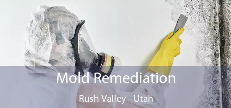 Mold Remediation Rush Valley - Utah