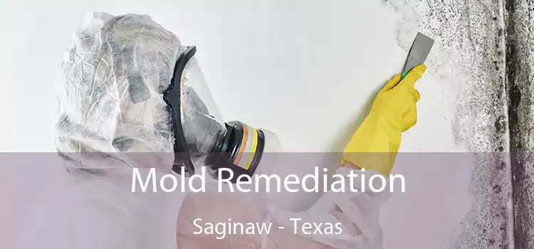 Mold Remediation Saginaw - Texas