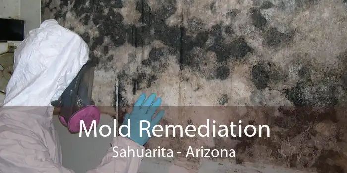 Mold Remediation Sahuarita - Arizona