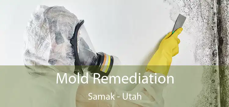 Mold Remediation Samak - Utah