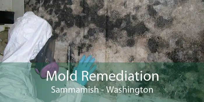Mold Remediation Sammamish - Washington