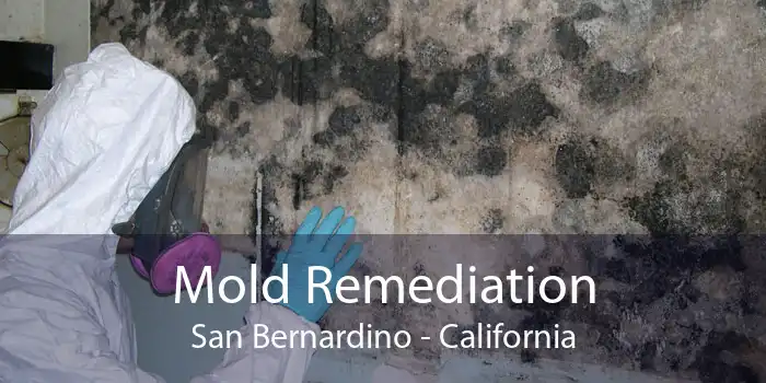 Mold Remediation San Bernardino - California