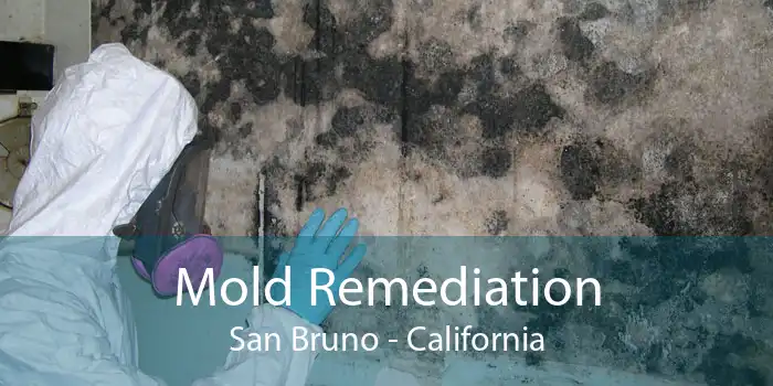 Mold Remediation San Bruno - California