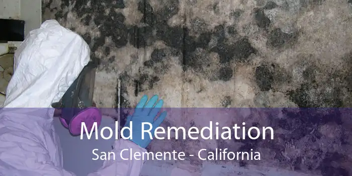 Mold Remediation San Clemente - California