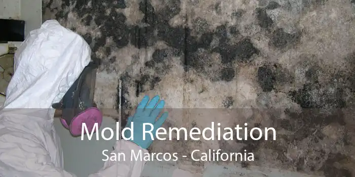 Mold Remediation San Marcos - California