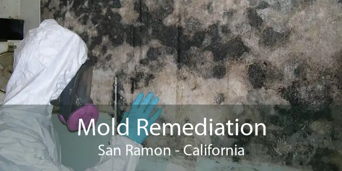 Mold Remediation San Ramon - California