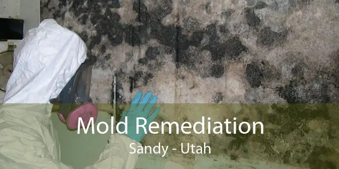 Mold Remediation Sandy - Utah