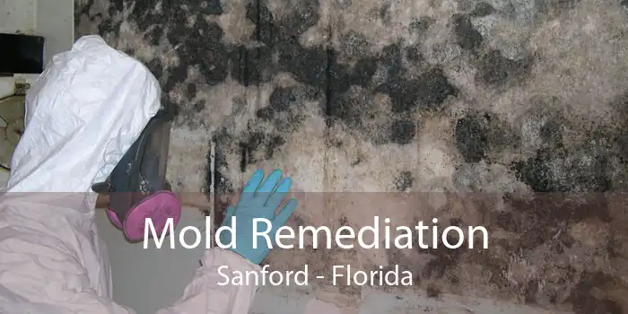 Mold Remediation Sanford - Florida