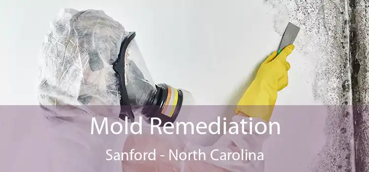 Mold Remediation Sanford - North Carolina