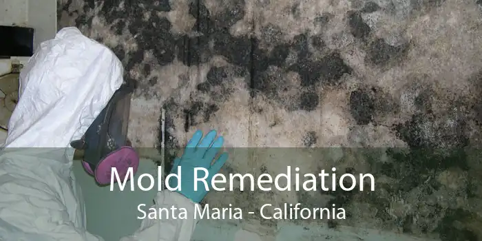 Mold Remediation Santa Maria - California