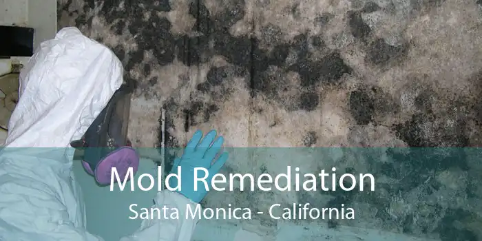 Mold Remediation Santa Monica - California