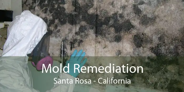 Mold Remediation Santa Rosa - California