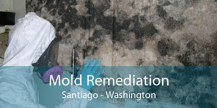 Mold Remediation Santiago - Washington