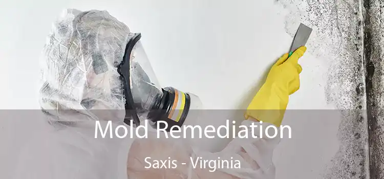 Mold Remediation Saxis - Virginia