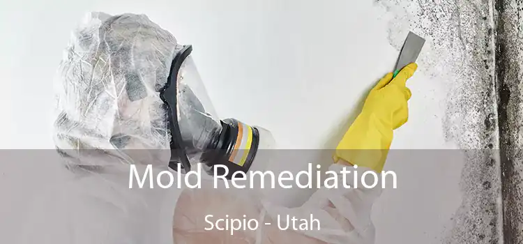 Mold Remediation Scipio - Utah