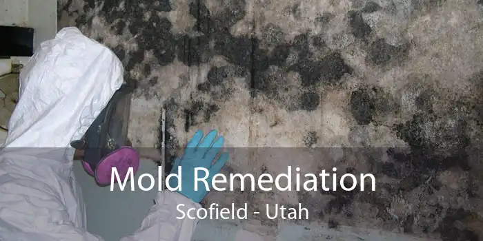 Mold Remediation Scofield - Utah
