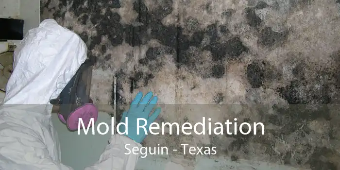 Mold Remediation Seguin - Texas