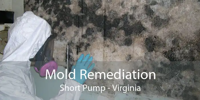Mold Remediation Short Pump - Virginia