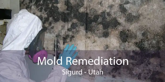 Mold Remediation Sigurd - Utah