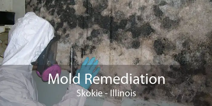 Mold Remediation Skokie - Illinois