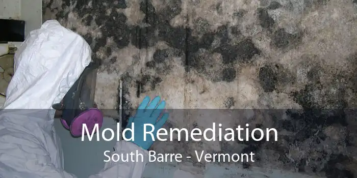 Mold Remediation South Barre - Vermont