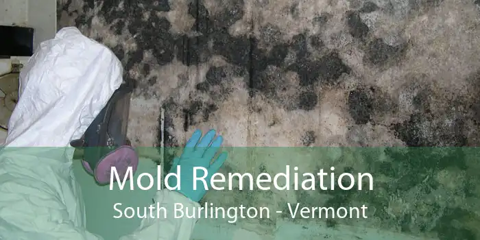 Mold Remediation South Burlington - Vermont