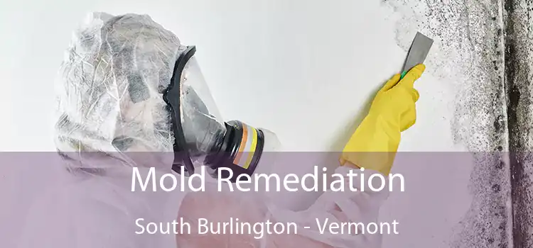 Mold Remediation South Burlington - Vermont