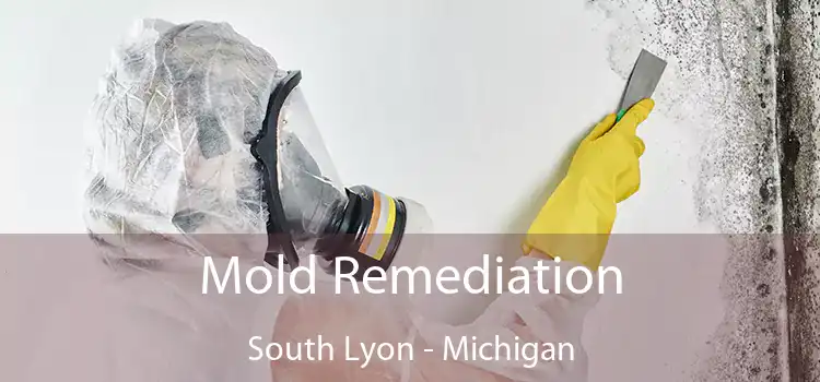 Mold Remediation South Lyon - Michigan