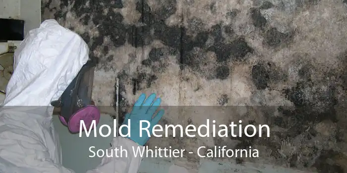 Mold Remediation South Whittier - California