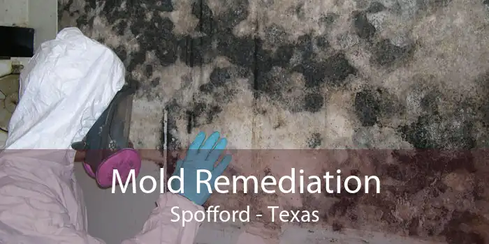 Mold Remediation Spofford - Texas