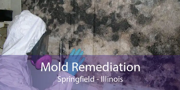 Mold Remediation Springfield - Illinois