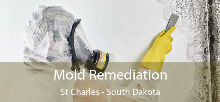 Mold Remediation St Charles - South Dakota