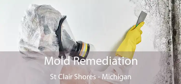 Mold Remediation St Clair Shores - Michigan