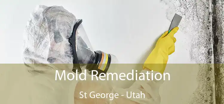 Mold Remediation St George - Utah