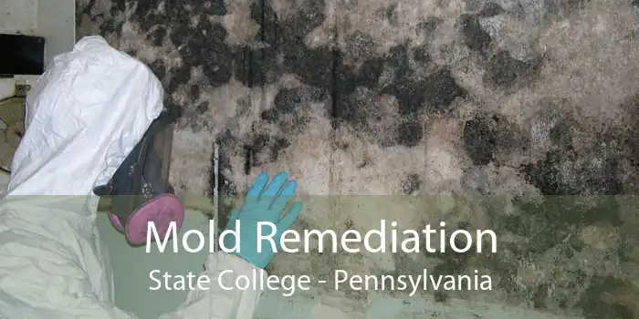 Mold Remediation State College - Pennsylvania