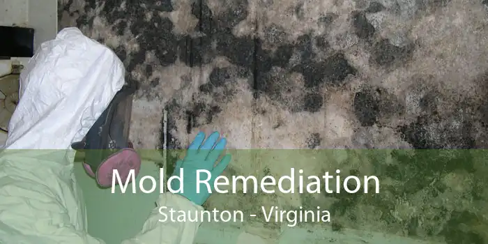 Mold Remediation Staunton - Virginia