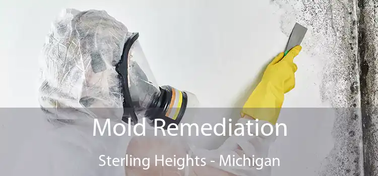 Mold Remediation Sterling Heights - Michigan