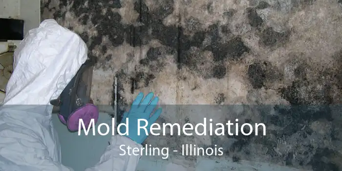 Mold Remediation Sterling - Illinois