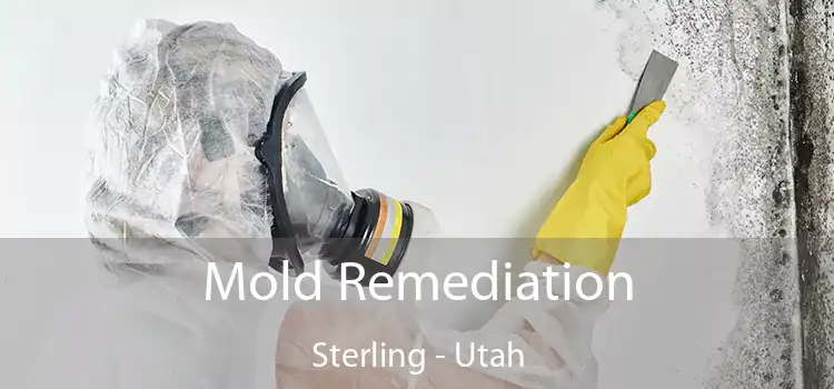 Mold Remediation Sterling - Utah