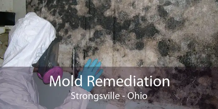 Mold Remediation Strongsville - Ohio