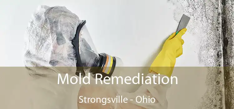 Mold Remediation Strongsville - Ohio