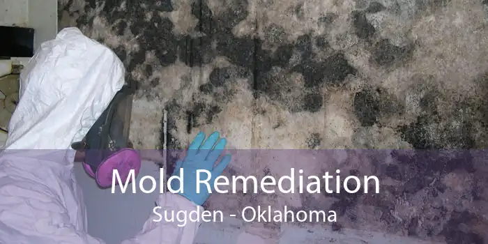 Mold Remediation Sugden - Oklahoma