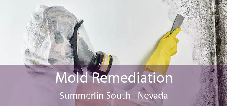 Mold Remediation Summerlin South - Nevada