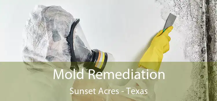 Mold Remediation Sunset Acres - Texas