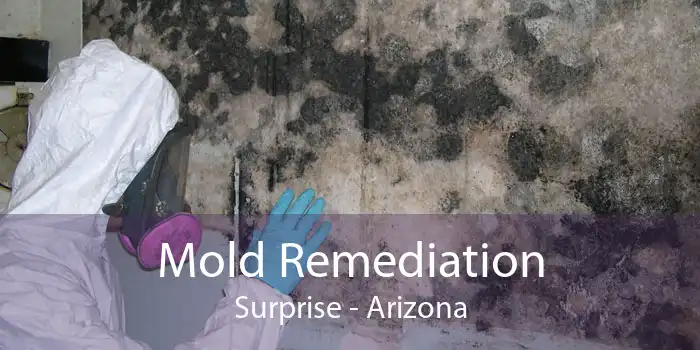 Mold Remediation Surprise - Arizona