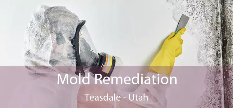 Mold Remediation Teasdale - Utah