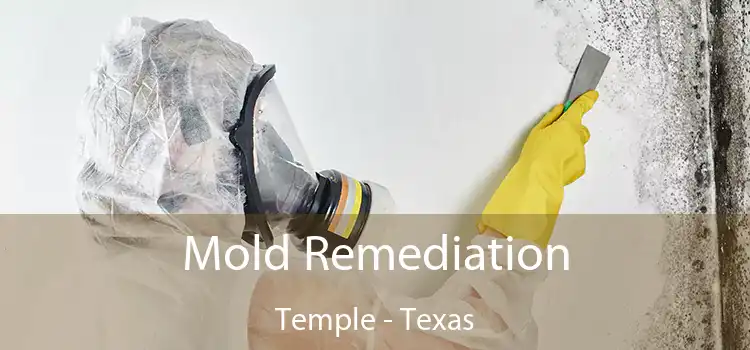 Mold Remediation Temple - Texas